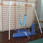 Vestibular Swing System 1